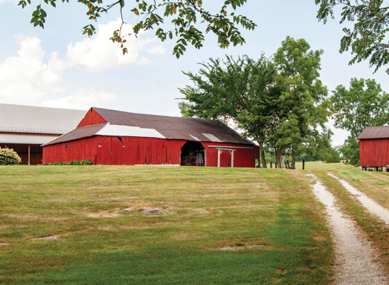 Tate-Tatum Farm, Bloomington